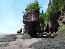 hopewell rocks
